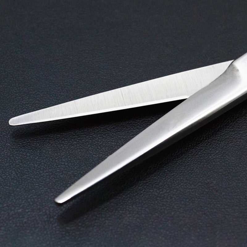 Stainless Steel Haircut 6 inch Scissors Professional Salon Hairdressing Hair Cutting Set - Flat Scissor